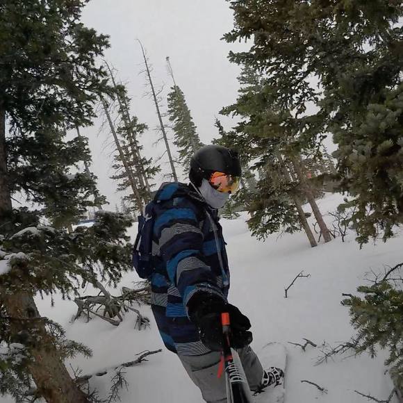 Meet your Posher, Ryan - Picture 1 of 1